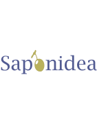 Saponidea